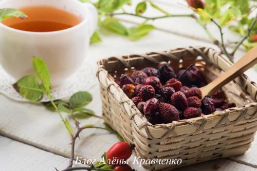 5 способов, как собирать шиповник для его заготовки на зиму. 5 простых способов заготовить шиповник на зиму без сушки 03 5 способов, как собирать шиповник для его заготовки на зиму. 5 простых способов заготовить шиповник на зиму без сушки 03