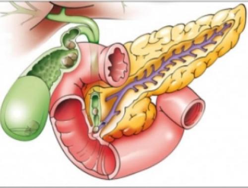 Можно ли есть виноград при гастрите желудка. Можно ли включать в рацион виноград при гастрите желудка? 01