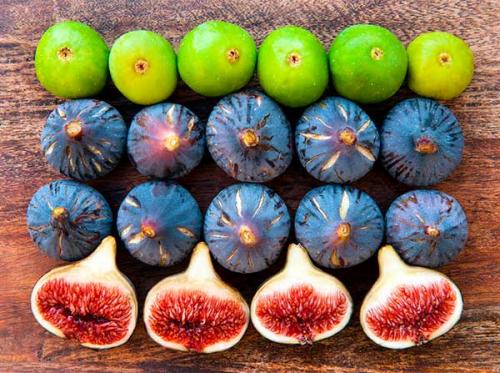 Всё о полезных свойствах плодов инжира 10 Всё о полезных свойствах плодов инжира 10