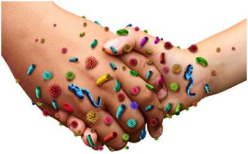 Защита от COVID-19 и других инфекций: основные принципы 05