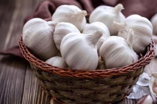 Яровой чеснок когда убирать. Когда в [god] году можно убирать яровой чеснок, сборка с грядки и хранение