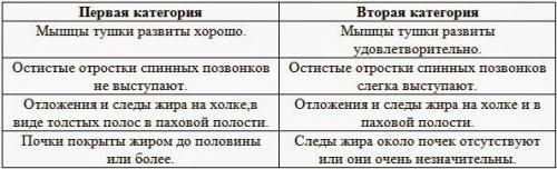 Какие показатели важны для оценки продуктивности кроликов. Оценка мясной продуктивности кроликов