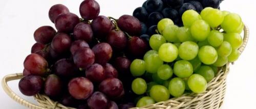 Можно ли виноград при гастрите желудка. Виноград при гастрите