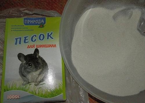 Ухаживание за шиншиллой в квартире: основные правила 01 Ухаживание за шиншиллой в квартире: основные правила 01