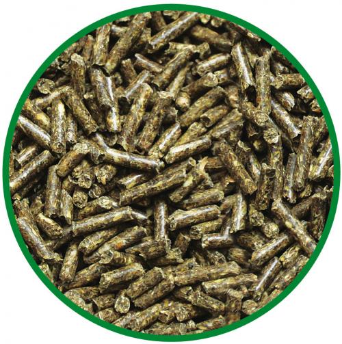 Ухаживание за шиншиллой в квартире: основные правила 03 Ухаживание за шиншиллой в квартире: основные правила 03