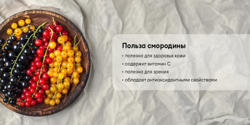 Воспользуйтесь пользой черной смородины: 10 причин, почему этот фрукт должен быть в вашей диете 08 Воспользуйтесь пользой черной смородины: 10 причин, почему этот фрукт должен быть в вашей диете 08