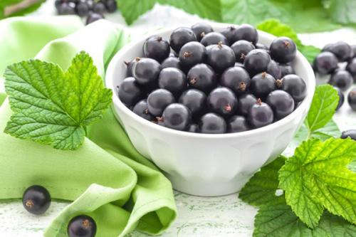 Как чёрная смородина влияет на иммунитет. Почему нужно есть черную смородину