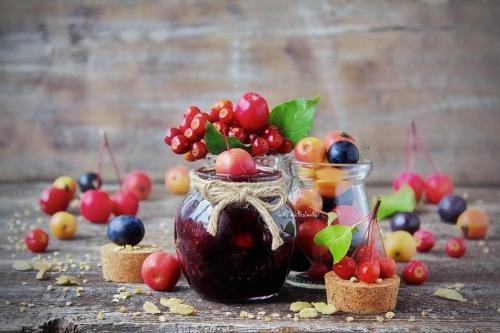 Вред и польза терновника. Свойства терна 07