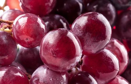 Какие витамины содержатся в винограде Изабелла и какое их влияние на организм. Свойства винограда «Изабелла» для организма
