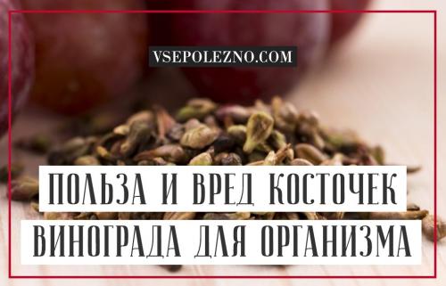 Какие витамины содержатся в винограде Изабелла и какое их влияние на организм. Свойства винограда «Изабелла» для организма