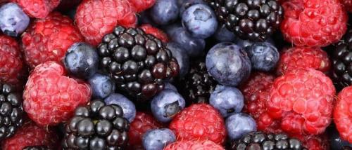 Все виды ягод. Различные виды ягод с фотографиями, краткое описание разновидностей