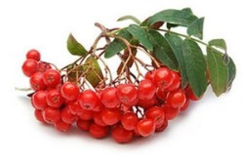 ТОП 10 самых полезных красных ягод. 10 самых полезных ягод