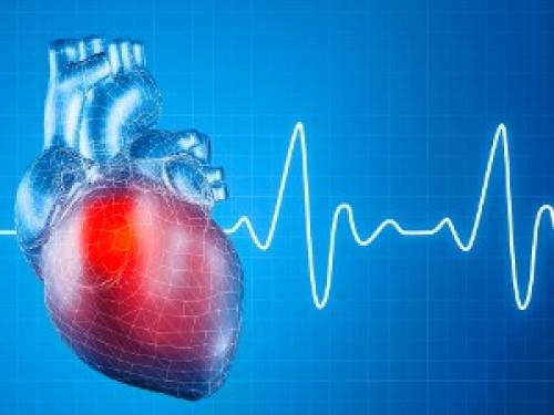 Какие заболевания можно лечить с помощью шиповника. Эффективность при различных заболеваниях