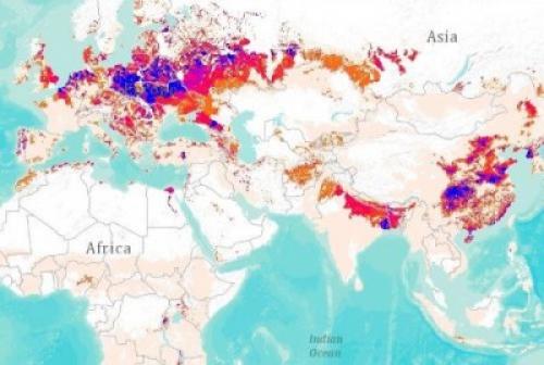 Какие сорта картофеля наиболее популярны в Азии. Карта картошки: в Азии растёт производство картофеля