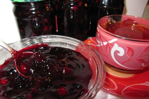 Как правильно хранить сливу терн. Заготовки из терна на зиму: 20 лучших рецептов