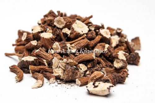 Когда собирать шиповник на сушку в домашних условиях. Способы высушивания 08 Когда собирать шиповник на сушку в домашних условиях. Способы высушивания 08