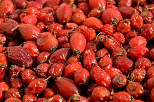 Как заварить шиповник в термосе пропорции. Шиповник в термосе