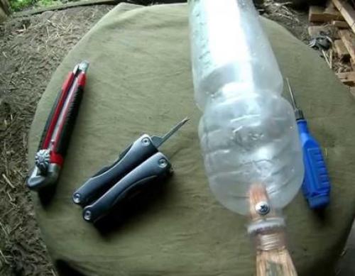 Вишня когда созревает. Сбор урожая