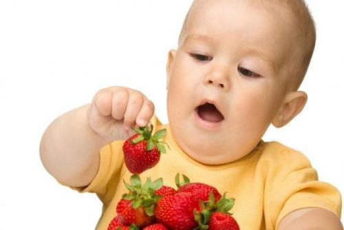 Как часто можно принимать настойку из смородины черной ягоды