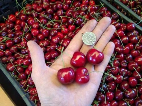 Какие рецепты можно приготовить из черешни донецкой красавицы