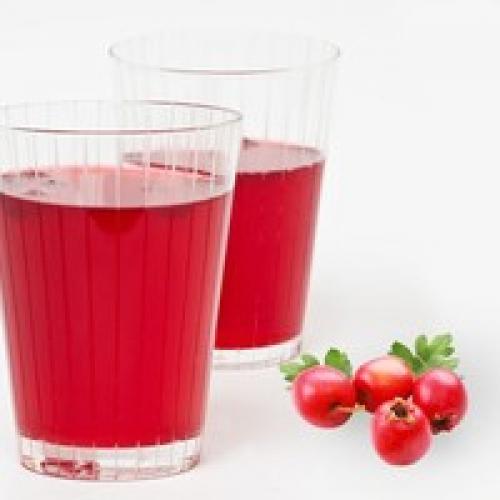 Заготовка боярышника и хранение. Правила заморозки 16 Заготовка боярышника и хранение. Правила заморозки 16