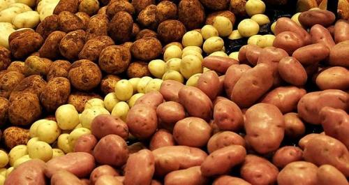 Сорта картофеля по алфавиту. Классификации сортов