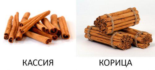 Можно ли использовать другие специи вместо корицы. Что на самом деле продают в России вместо корицы
