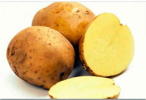 Картофель люцилла. Сорта картофеля по алфавиту фото и описание