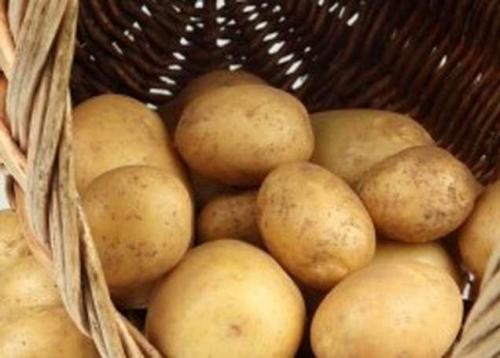 Картофель люцилла. Сорта картофеля по алфавиту фото и описание