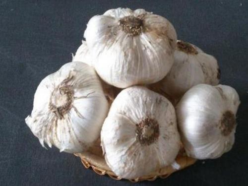 Хорошие сорта чеснока. Сорта чеснока с фотографиями и описанием для открытого грунта
