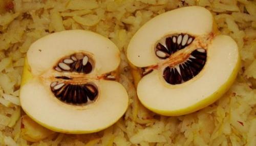 Айва японская выращивание из семян. Видео: цветение хеномелеса