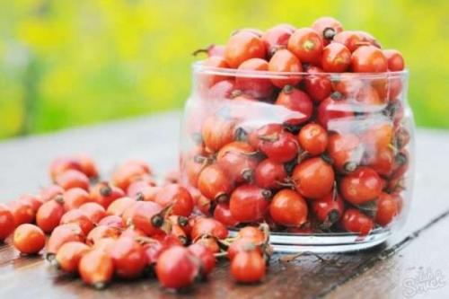 Как сушить шиповник на нитке. Как правильно сушить шиповник в домашних условиях: сушка плодов, листьев и цветов