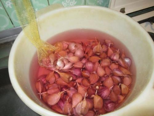 Как вырастить яровой чеснок. Яровой чеснок: агротехника и сорта 08