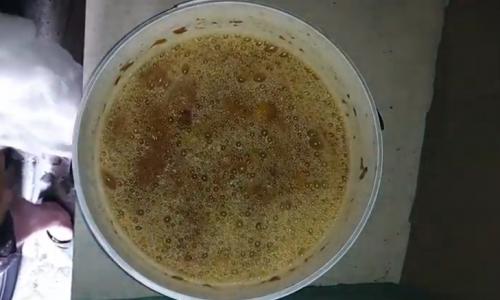 Какие напитки можно приготовить из сливовых урожаев. Вино из сливы в домашних условиях: 6 простых рецептов сливового вина