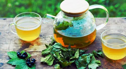 Польза чая из листьев черной смородины при беременности. 10 Польза чая из листьев черной смородины при беременности. 10