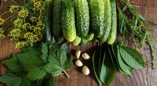 Польза чая из листьев черной смородины при беременности. 09 Польза чая из листьев черной смородины при беременности. 09