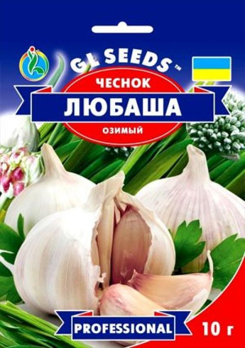 Как быстро посадить чеснок. Сорта чеснока для выращивания в домашних условиях