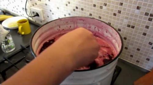 Вино в домашних условиях из винограда. Вино из винограда в домашних условиях – простой рецепт