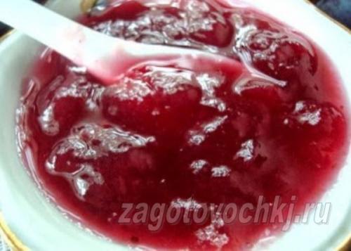 Что приготовить из кислого домашнего винограда. Готовим сок и компот из винограда на зиму: домашние рецепты 10 Что приготовить из кислого домашнего винограда. Готовим сок и компот из винограда на зиму: домашние рецепты 10