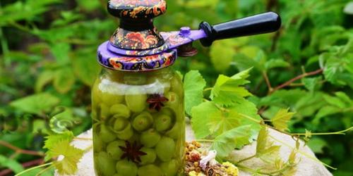 Что приготовить из кислого домашнего винограда. Готовим сок и компот из винограда на зиму: домашние рецепты