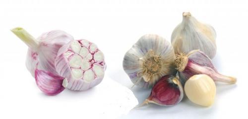 Когда лучше сажать чеснок весной или осенью. Какой чеснок лучше сажать: озимый осенью или яровой весной