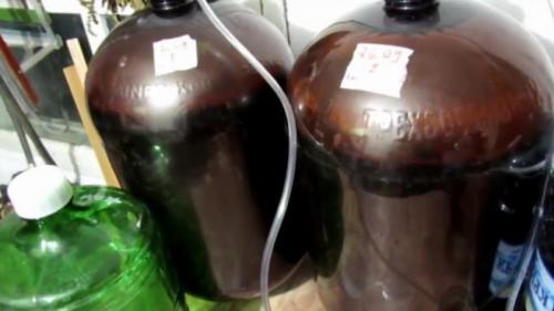 Самое простое домашнее вино. Вино из винограда в домашних условиях – простой рецепт