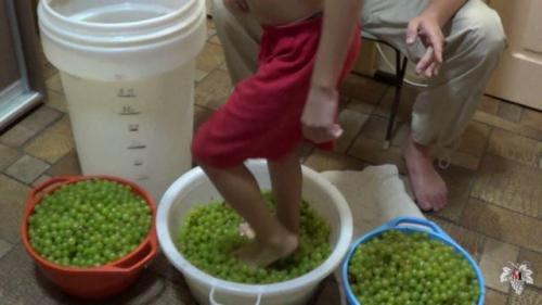 Вино из белого винограда в домашних условиях