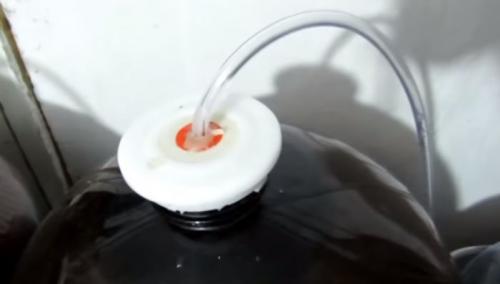 Самое простое домашнее вино. Вино из винограда в домашних условиях – простой рецепт