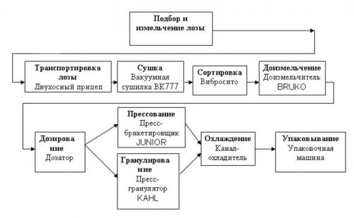 Что сделать с недозревшим виноградом. Причины незрелого винограда 05