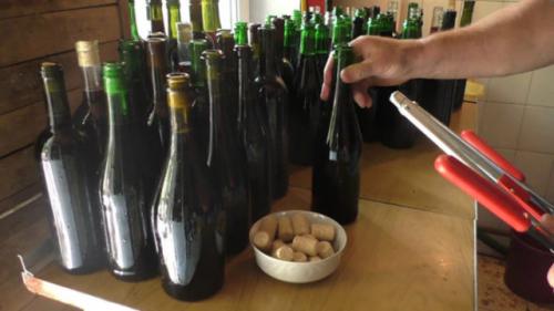 Можно ли делать вино из недозревшего винограда