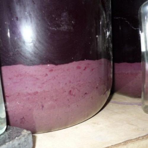 Вино из незрелого винограда. Плохо играет вино из винограда, что делать