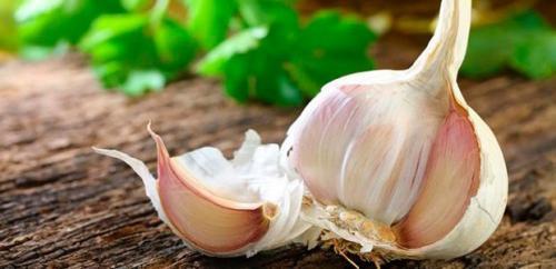 Посадка чеснока весной на головку. Посадка чеснока весной в открытый грунт 12