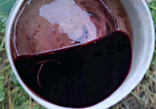 Посадка чеснока весной на головку. Посадка чеснока весной в открытый грунт