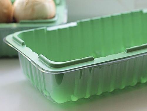 Как вырастить чеснок из зубчика. Посадка чеснока в домашних условиях